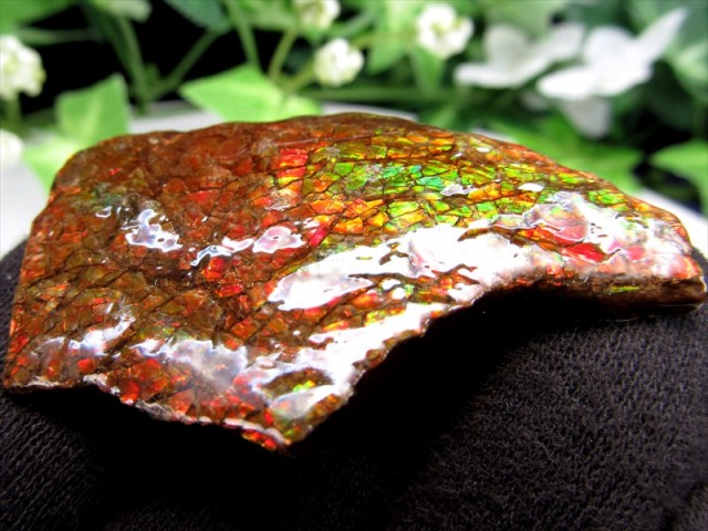 4A アンモライト ドラゴンスキン 竜の鱗 原石 最大幅48mm 重さ9.3g 1点物 生物起源の宝石 幸運を呼び込む石 極上一点物 カナダ産 パワーストーン 天然石