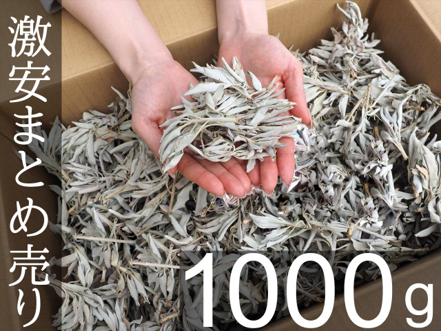 業務用 箱売り ホワイトセージ 高品質 浄化用 ホワイトセージ 枝付きタイプ 1kg 大特価 箱売り 上質・香り良好な ホワイトセージクラスター カリフォルニア産