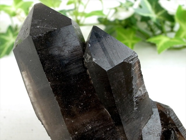 待望の再入荷 アーカンソー 州 産 モリオン 結晶 クラスター 最大幅約