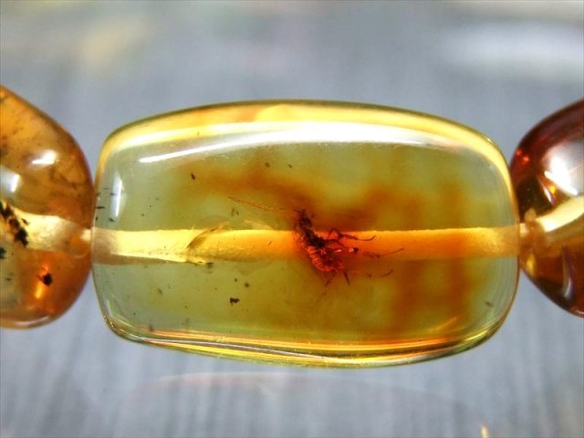 ハッキリ虫入り 5A 虫入り アンバー ブレスレット 天然虫入り琥珀