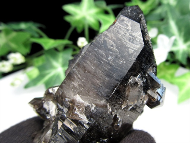待望の再入荷 アメリカ アーカンソー 州 産 黒水晶 モリオン