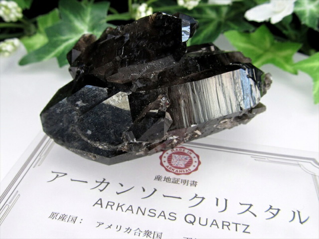 アーカンソー州産水晶クラスター☆産地証明書付き【287】 待望の再入荷 アメリカ アーカンソー 州 産 黒水晶 モリオン