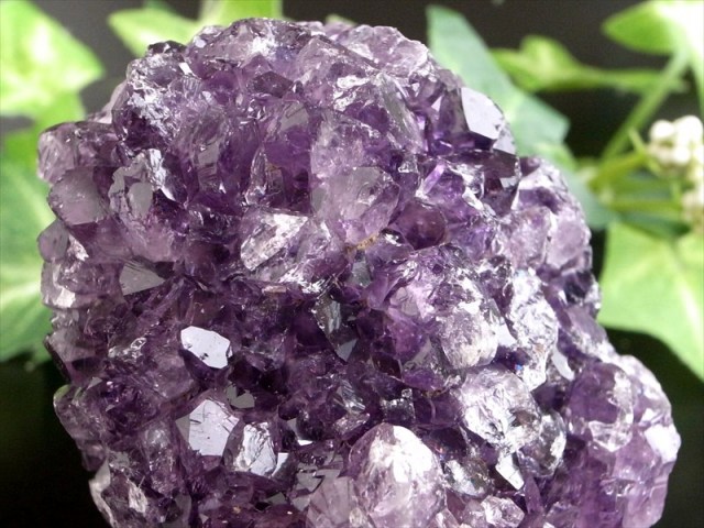 これぞ 花咲き 4A フラワー アメジスト クラスター 最大幅約56mm 重さ151g 美結晶 愛の守護石 紫水晶 天然石 1点物 ブラジル 産 パワーストーン 天然石