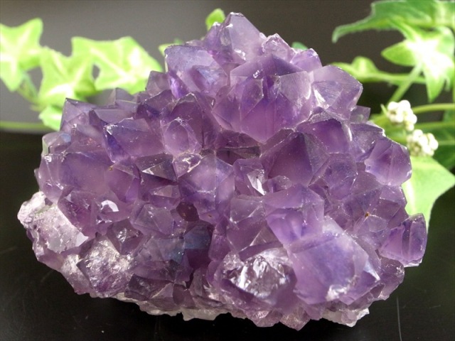 これぞ 花咲き 5A フラワー アメジスト クラスター 最大幅約79mm 重さ239g 美結晶 愛の守護石 紫水晶 天然石 1点物 ブラジル 産 パワーストーン 天然石 玄関