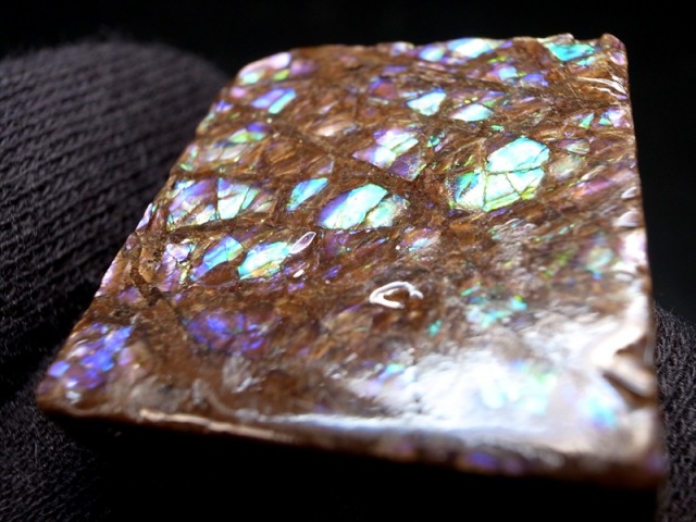 4A アンモライト 原石 最大幅24mm 重さ7.8g 1点物 生物起源の宝石 幸運を呼び込む石 極上一点物 カナダ 産 パワーストーン 天然石