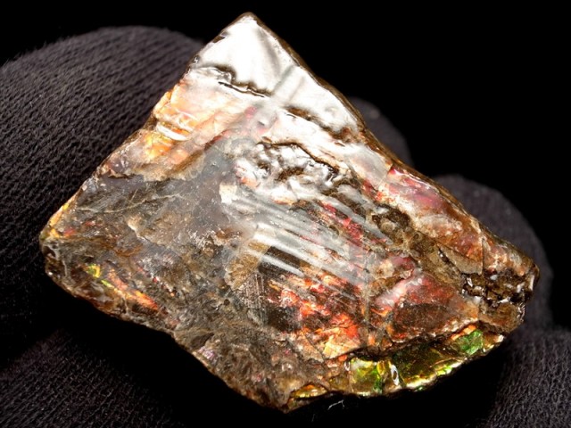 3A アンモライト 原石 最大幅約31mm 重さ約15.4g 1点物 生物起源の宝石 幸運を呼び込む石 極上一点物 カナダ 産 パワーストーン 天然石