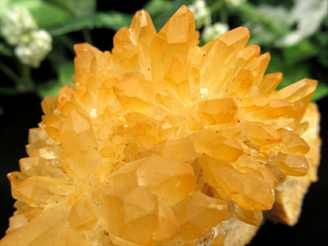激レア ゴールデン ヒーラー 四川 水晶 クラスター 最大幅76mm 重さ141g 菊花水晶 極上 一点もの 四川省 産 パワーストーン 天然石 玄関
