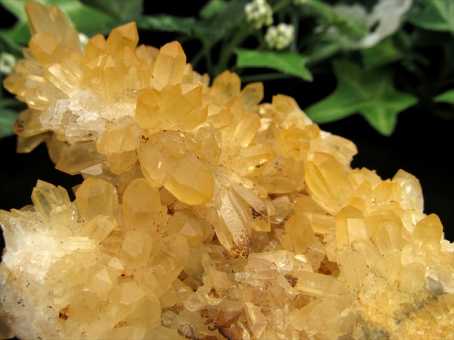 激レア ゴールデン ヒーラー 四川 水晶 クラスター 最大幅87mm 重さ170g 菊花水晶 極上 一点もの 四川省 産 LIVE パワーストーン 天然石 玄関