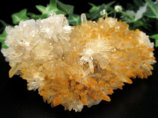 激レア ゴールデン ヒーラー 四川 水晶 クラスター 最大幅111mm 重さ299g 菊花水晶 極上 一点もの 四川省 産 LIVE パワーストーン 天然石 玄関