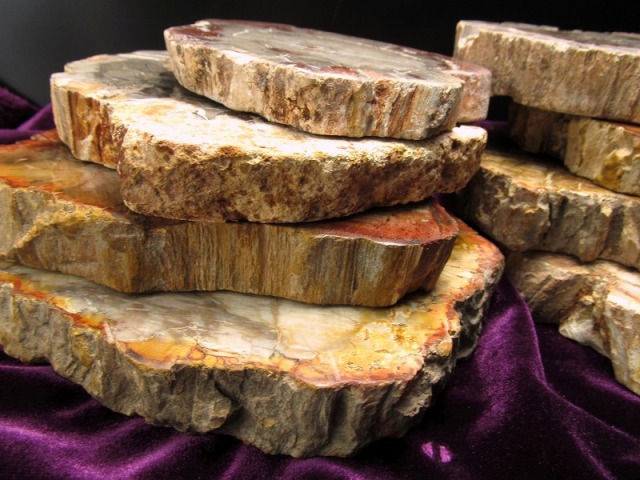 P1★特選一連★希少☆木化石【13mmペトリファイドウッド珪化木ラウンド連】❤️ ペトリファイドウッド珪化木 | HugStones