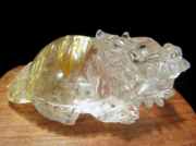 ヒキュウ・ロングイ