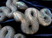 鮮やかレインボーシラータイプ ラブラドライト 蛇 彫刻置物 幅約60mm 約20g-35g シラーが美しい、縁起物 信念を貫く力 極上天然石 月や太陽を象徴する石