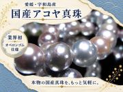 ナチュラル ブルーカラー 国産 アコヤ真珠 ブレスレット 約7.5mm-8mm×24珠前後 パール ギャランティカード付属 愛媛県宇和島産 パワーストーン 天然石