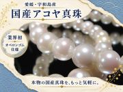 ホワイトカラー 国産 アコヤ真珠 ブレスレット 約7.5mm-8mm×25珠前後 パール ギャランティカード付属 愛媛県宇和島産 パワーストーン 天然石
