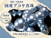 ブルーカラー 国産 アコヤ真珠 ブレスレット 約7.5mm-8mm×24珠前後 パール ギャランティカード付属 愛媛県宇和島産 パワーストーン 天然石