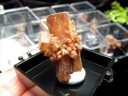ミニチュア原石シリーズ レッドアラゴナイト 原石 ケース付き コレクションや標本に 持ち主の魅力を引き出す 中国・貴州省 パワーストーン 天然石