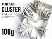 ホワイトセージ たっぷりお徳用パック 100g入り 高品質 ホワイトセージ 枝付き クラスター 浄化用 スマッジング・薫香用ドライハーブ カリフォルニア産