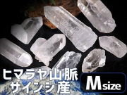 値下げ サインジ産 ヒマラヤ水晶ポイント 約100gセット 一袋約2-3本入り 澄んだ透明感と圧倒的な浄化力 ギャランティカード付き ヒマラヤ山脈サインジ渓谷産