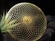 トーラス 直径約79mm 厚み約0.6mm 1個売り ゴールドカラー 瞑想・浄化・波動などのヒーリングに 秘めたエネルギーを呼び覚ます エナジーカード Hタイプ