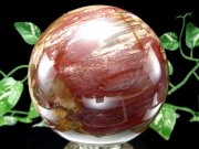 迫力の大玉 珪化木 ペトリファイドウッド 丸玉 台座付 重さ1919g 直径113mm 木の化石 自然を愛する全ての方に マダガスカル産 パワーストーン 天然石