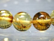 ハッキリ虫入り 5A 虫入りアンバー 天然虫入り琥珀 ブレスレット 8.5mm-9mm×22珠 4千万年前の虫が閉じ込められた琥珀 1点物 バルト海産