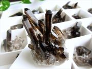 Sサイズ 1個売り アーカンソー産黒水晶ミニクラスター カード付き 平均の重さ約22.5g 限定 艶々極上モリオン アメリカ・アーカンソー産 2026年2月再撮影 cl-p
