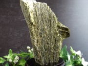 深緑が息づく 森のエネルギー結晶 グリーン ゾイサイト 原石 木製専用台座付 高さ141mm 重さ679g グリーンゾイサイト原石が育む 心と空間の豊かさ