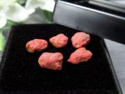 希少 国産原石 現品の10個 辰砂 原石 1個売り 約0.4g-0.6g ルースケース付き 深紅の竜血 ドラゴンブラッド 朱砂 辰砂 シンシャ コレクターに大人気の原石