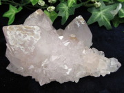 ヒーラーに大人気 4A カクタス アメジスト クラスター原石 最大幅 120mm 重さ 315g 精霊の宿る水晶 紫水晶 サボテンアメジスト 2月 誕生石 1点もの