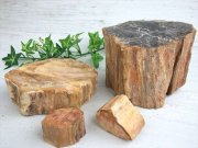 一面磨き 珪化木 ペトリファイドウッド 原石 重さ150g-200g 1個売り 神秘なる大自然の力 ウッドストーン 博愛・真心・希望 木の化石 マダガスカル産