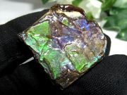 4A アンモライト 原石 最大幅27mm 重さ9.7g 1点物 生物起源の宝石 幸運を呼び込む石 極上一点物 カナダ産 パワーストーン 天然石