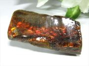 4A アンモライト 原石 最大幅35.5mm 重さ7.9g 1点物 生物起源の宝石 幸運を呼び込む石 極上一点物 カナダ産 パワーストーン 天然石
