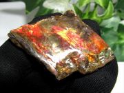 4A アンモライト 原石 最大幅35mm 重さ7.5g 1点物 生物起源の宝石 幸運を呼び込む石 極上一点物 カナダ産 パワーストーン 天然石