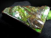 4A アンモライト 原石 最大幅27.5mm 重さ7.1g 1点物 生物起源の宝石 幸運を呼び込む石 極上一点物 カナダ産 パワーストーン 天然石