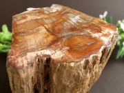 一面磨き 珪化木 ペトリファイドウッド 原石 最大幅 108mm 重さ 1410g 神秘なる大自然の力 ウッドストーン 博愛・真心・希望 木の化石 マダガスカル産