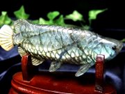 美しいブルー系シラー アロワナ ラブラドライト 置物 台座付き 幅約111mm 約153g 龍魚と呼ばれる古代魚 権力や繁栄、事業の発展の意味を持つモチーフ