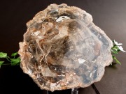 珪化木 ペトリファイドウッド プレート 置物 最大幅 161mm 重さ 1228g 神秘なる大自然の力 ウッドストーン 博愛・真心・希望 木の化石 パワーストーン 天然石