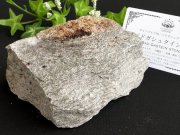 驚異の ラジウム 天然鉱石 バドガシュタイン 鉱石 高さ約8cm 幅約11.8cm 重さ約713g オーストリア政府公認のヒーリングストーン