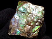 4A アンモライト 原石 最大幅約30mm 重さ約13.7g 1点物 生物起源の宝石 幸運を呼び込む石 極上一点物 カナダ 産 パワーストーン 天然石