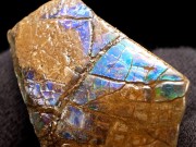 3A アンモライト 原石 最大幅約32mm 重さ約12g 1点物 生物起源の宝石 幸運を呼び込む石 極上一点物 カナダ 産 パワーストーン 天然石