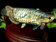黄龍 アロワナ ラブラドライト 置物 台座付 幅約113mm 重さ約174g 龍魚と呼ばれる古代魚 権力や繁栄、事業の発展の意味を持つモチーフ 代表的な金運の石