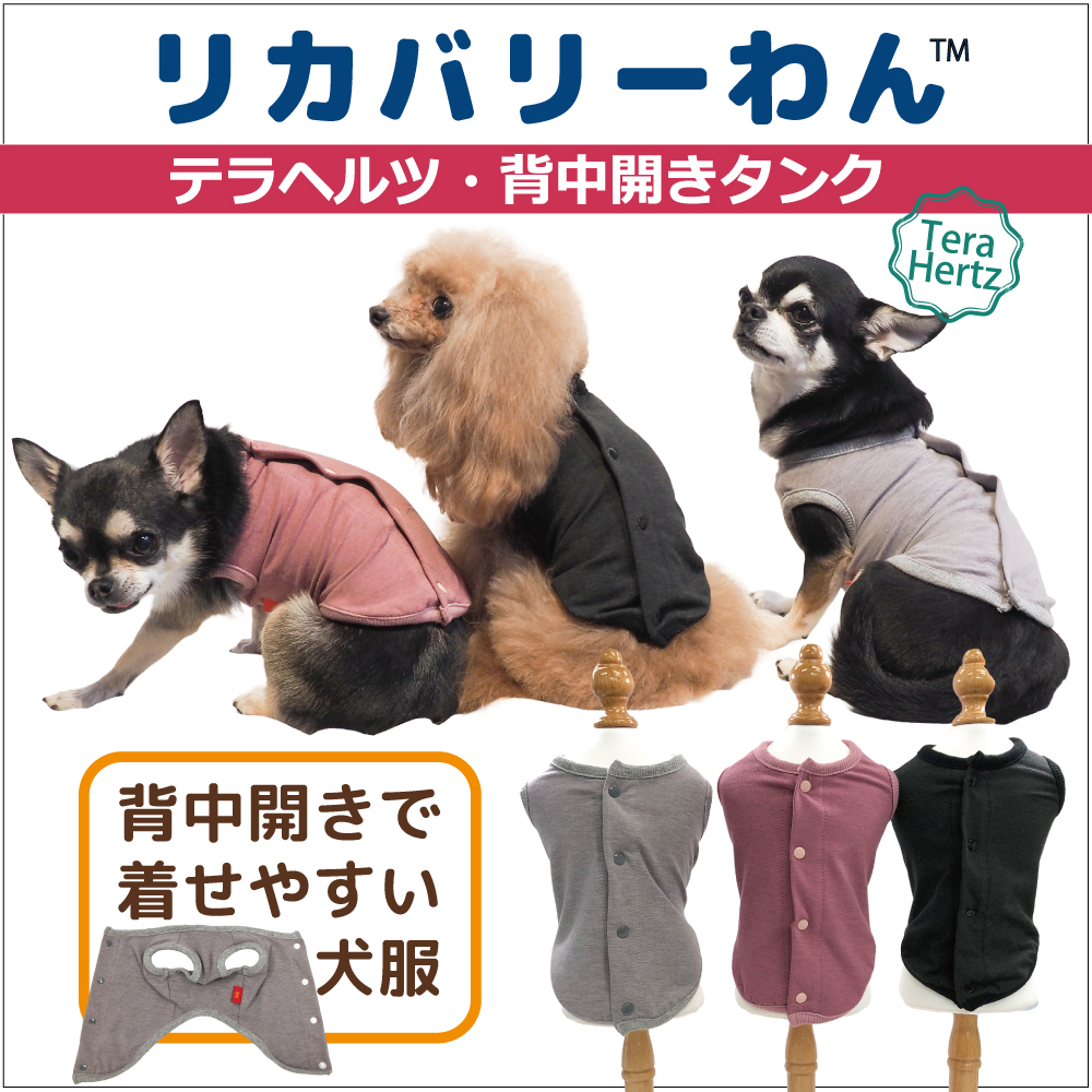 【6月下旬再入荷予定】犬リカバリーウェア  ロングセラー人気商品♪【テラヘルツ・背中開きタンク】（３色）12015[犬服][SSからSL] ネコポス便OK♪ 背中ボタンタンク シニア犬 犬介護服