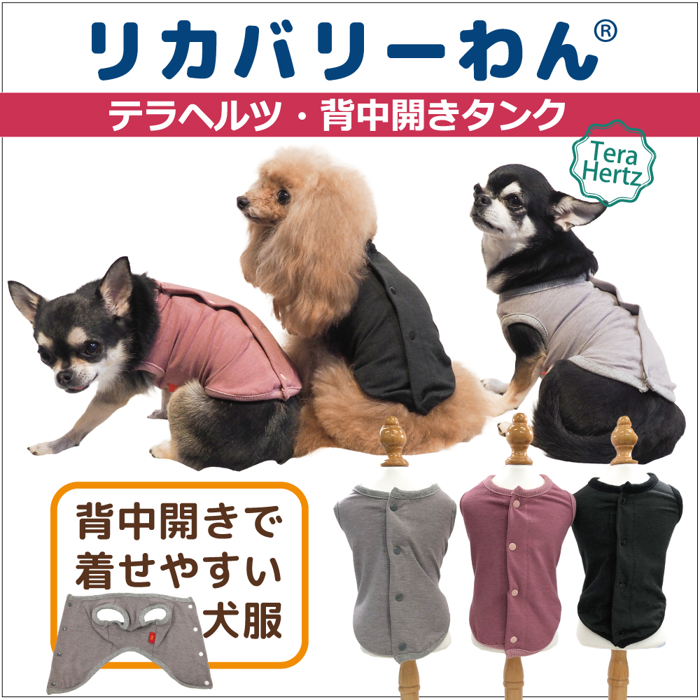 6月下旬再入荷予定】犬リカバリーウェア ロングセラー人気商品