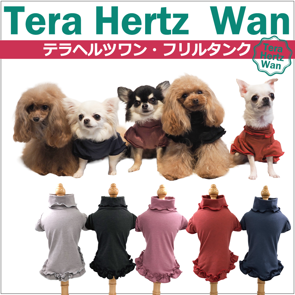 犬介護 【人気商品】女の子にピッタリ!5色カラー♪大人気商品