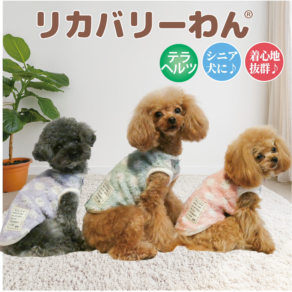 【9月中旬から下旬入荷予定】犬リカバリーウェア 2026クークチュール秋冬新作 【テラヘルツ・マカロンドットタンク】[SSから3L/FBM/FBL]（2色）12519[犬服]