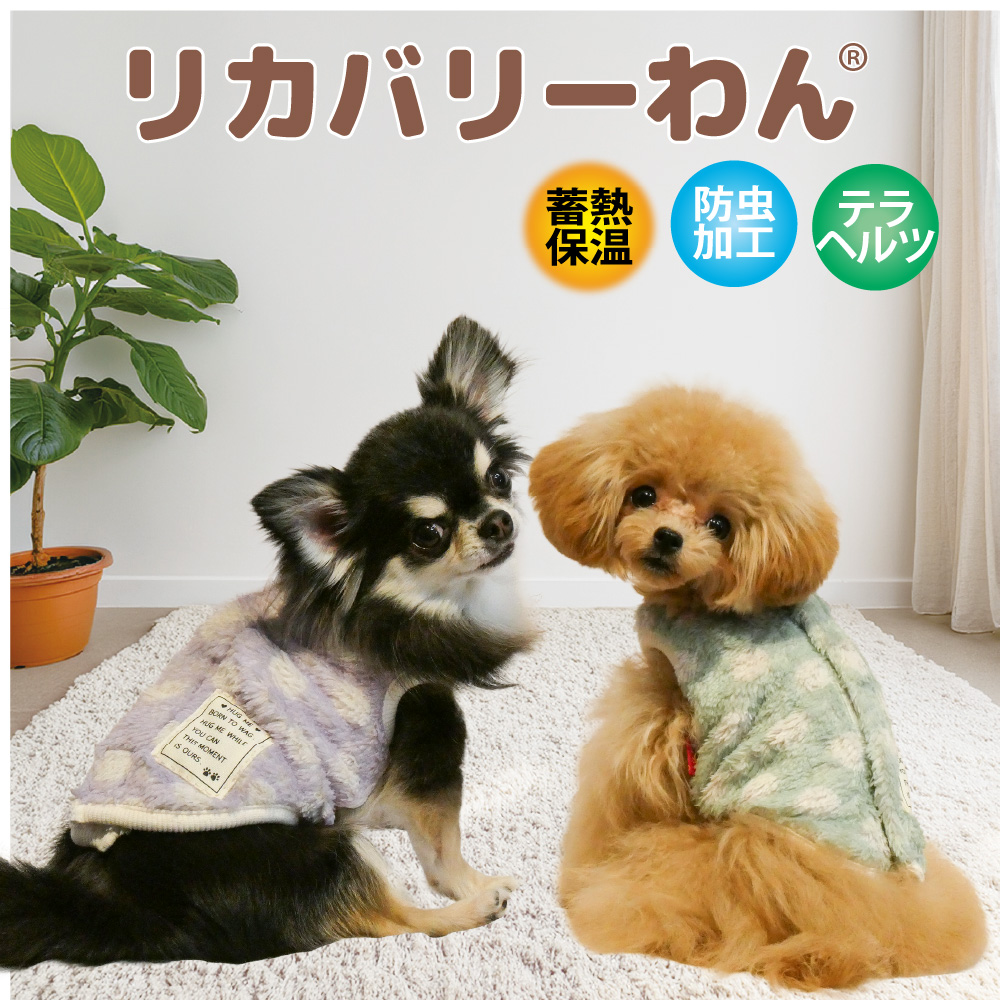 【10/18入荷】犬リカバリーウェア 2026クークチュール秋冬新作 【テラヘルツ・マカロンドットベルクロタンク】[SSから3L]（2色）12523[犬服]