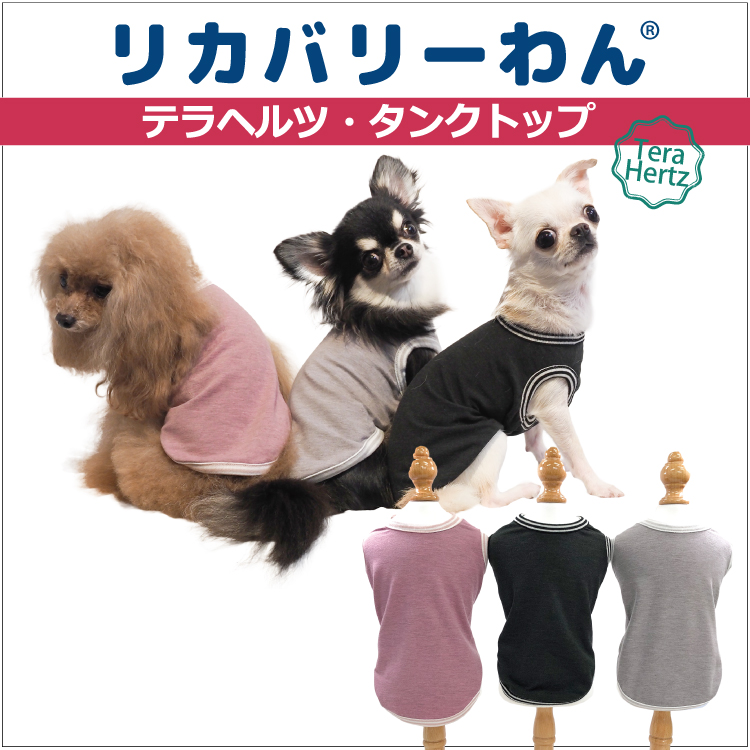 【4月7日再入荷】犬リカバリーウェア めちゃ売れ人気商品♪ 【テラヘルツ・タンクトップ】（３色）50044[犬服][SSからSL]  ネコポス便OK。 犬タンクトップ シニア犬 犬介護服