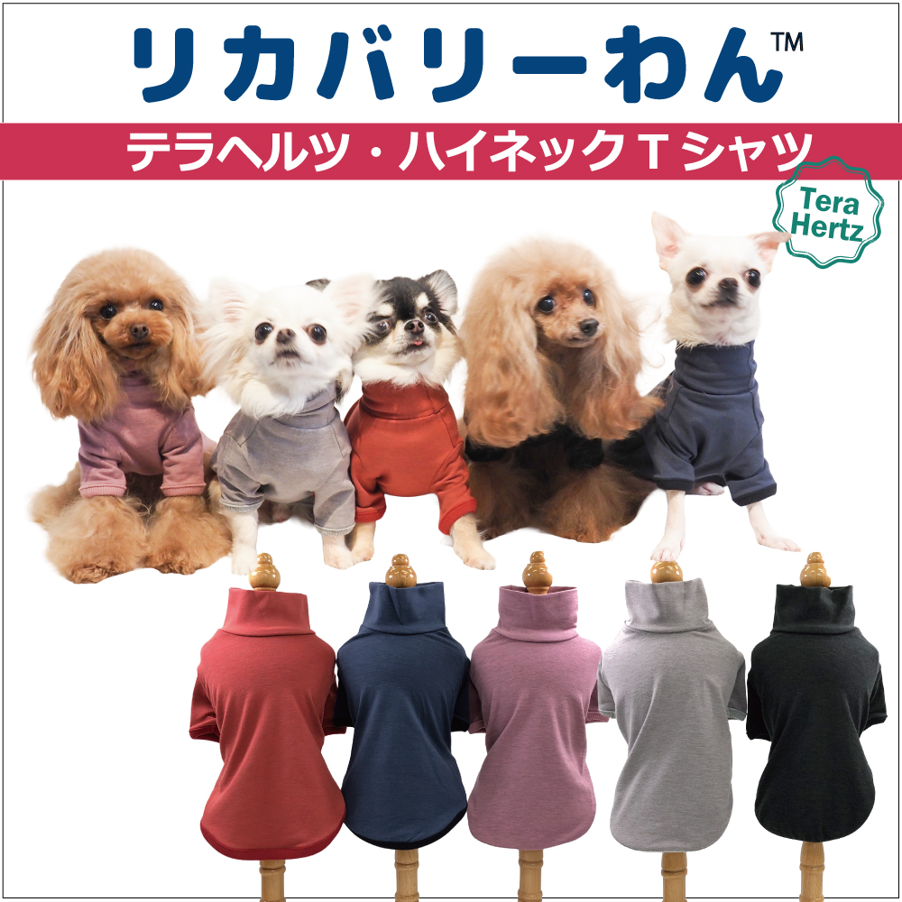 犬服　りょうさん 追加生産中/2月中旬入荷予定】犬リカバリーウェア ！人気商品