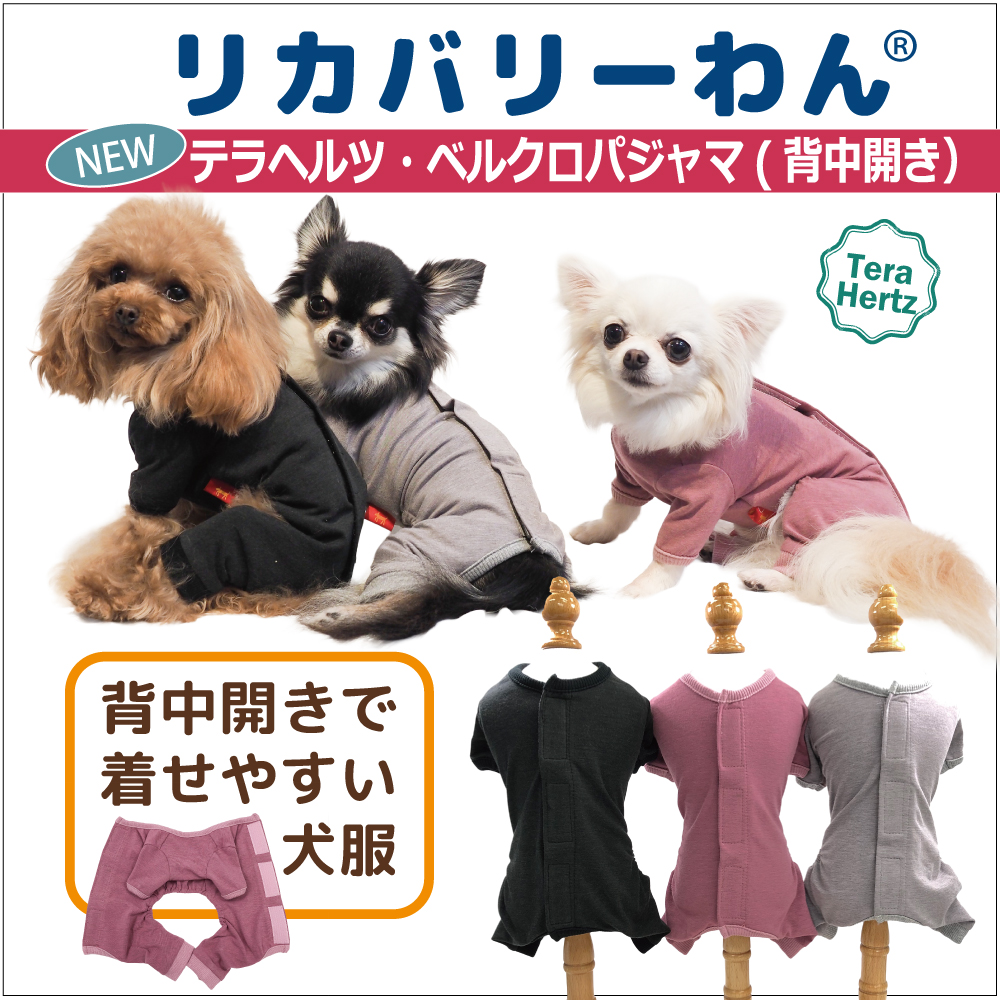 リカバリーワン通年ウェア&グッズ
