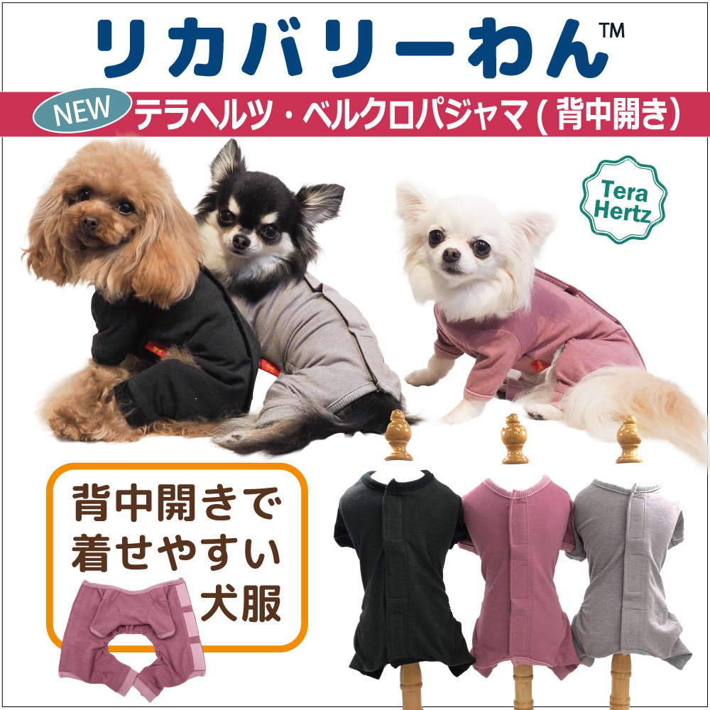 【2/10再入荷】犬リカバリーウェア  着脱ラクチン【テラヘルツ・ベルクロパジャマ】（３色）50053[犬服][SSからSL] 背中開きパジャマ シニア犬 犬介護服